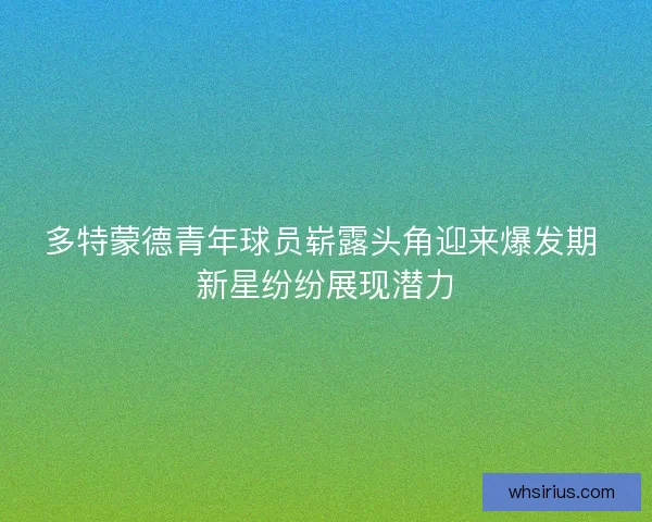 多特蒙德青年球员崭露头角迎来爆发期 新星纷纷展现潜力